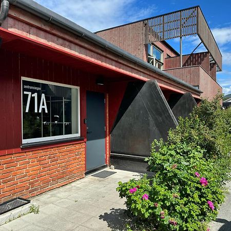 Sentrumsvegen - Private Studio Apartment In Gol Exteriör bild